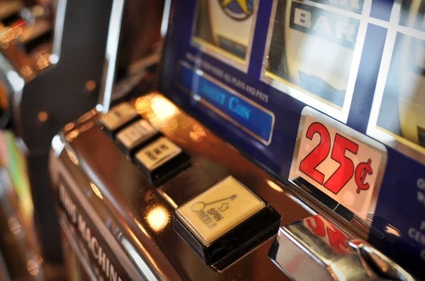 Multi-sport betting dashboard